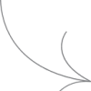 vector-6684e1fbc6b8f